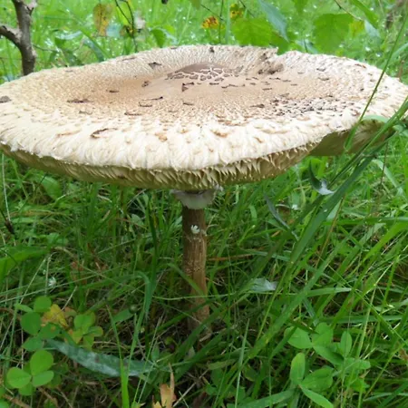 Karin's Behagliche Benshausen