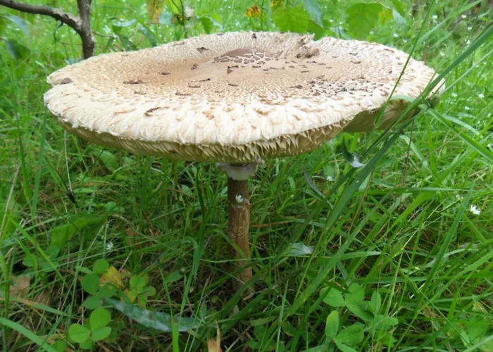 Karin's Behagliche Benshausen